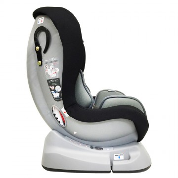 Porter™ Safety Carseat