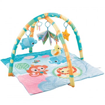 2 In 1 Variable Playgym